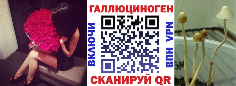 Псилоцибиновые грибы прущие грибы  цены наркотик  Ковров 