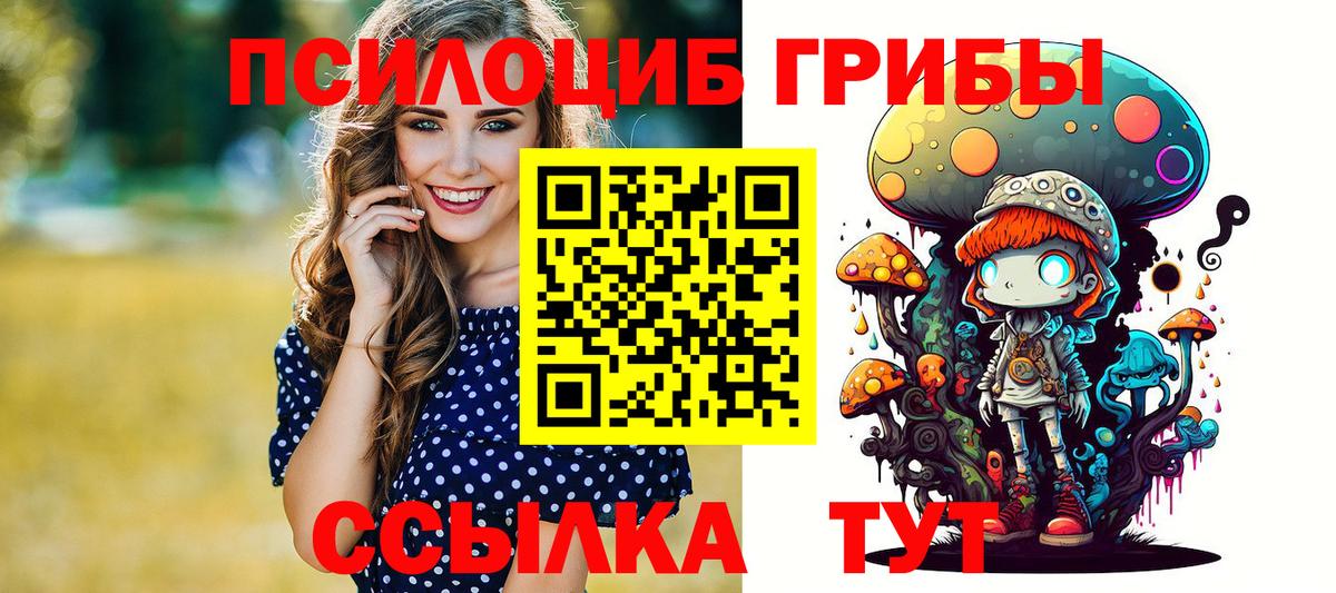 Ковров  Псилоцибиновые грибы MAGIC MUSHROOMS  Вход с VPN  Галлюциногенные грибы GOLDEN TEACHER 