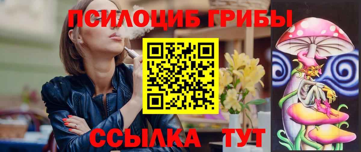 Псилоцибиновые грибы Cubensis Ковров